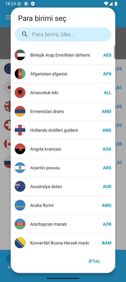 Currency Converter & Exchange ekranı: Aramalı para birimi listesi